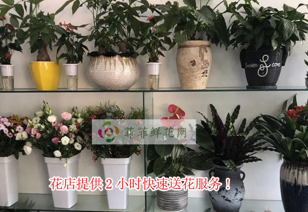 邵阳武冈市花店提供邵阳武冈市2小时快速送花服务