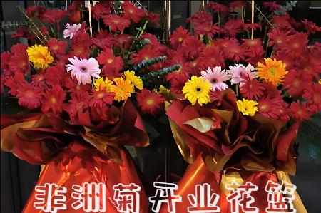 邵阳武冈市开业花篮